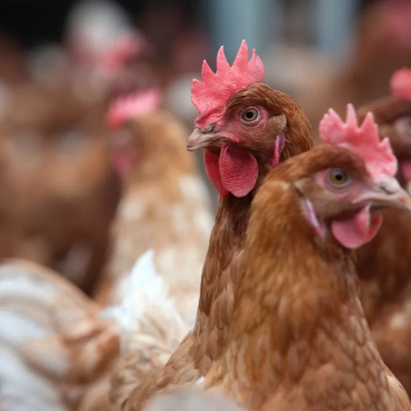 HS Automation - Applicazioni